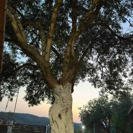 Διαμέρισμα Kali Luxury -garden- Άγιος Νικόλαος